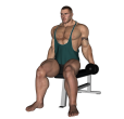 Anterior Raise - Seated Dumbbell Forward